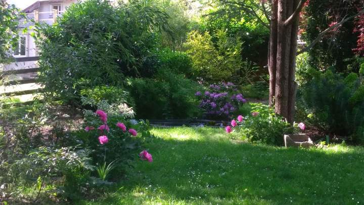 Entretien de jardin Fontainebleau
